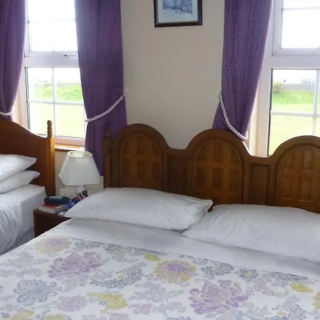 Lawndale House 3* Galway